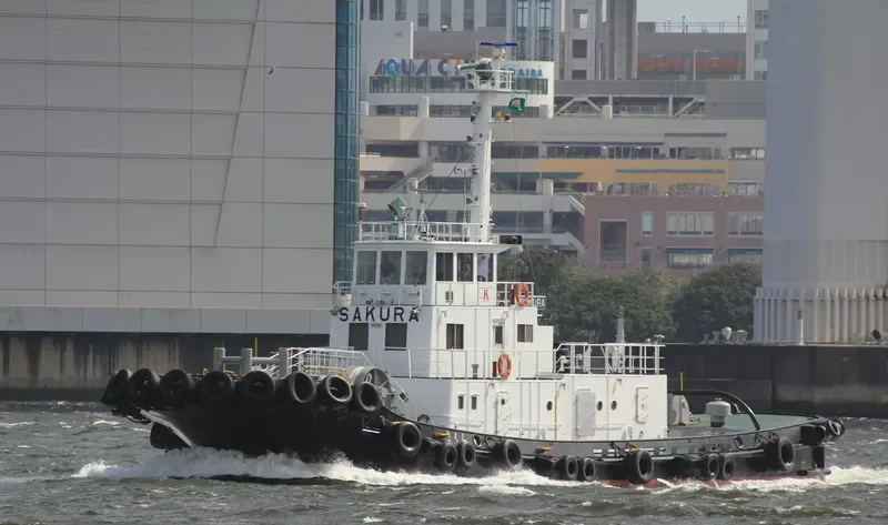 SAKURA General Cargo IMO 9057862 photo 7