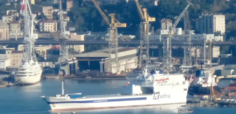 AF MARINA Ro-Ro IMO 9059107 photo 6