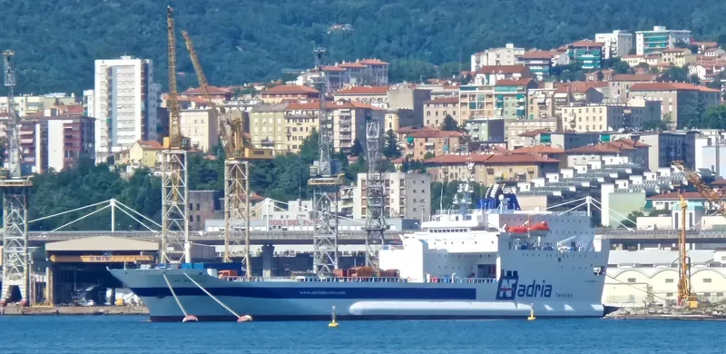 AF MARINA Ro-Ro IMO 9059107 photo 9
