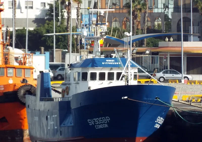 CONDOR General Cargo IMO 9059444