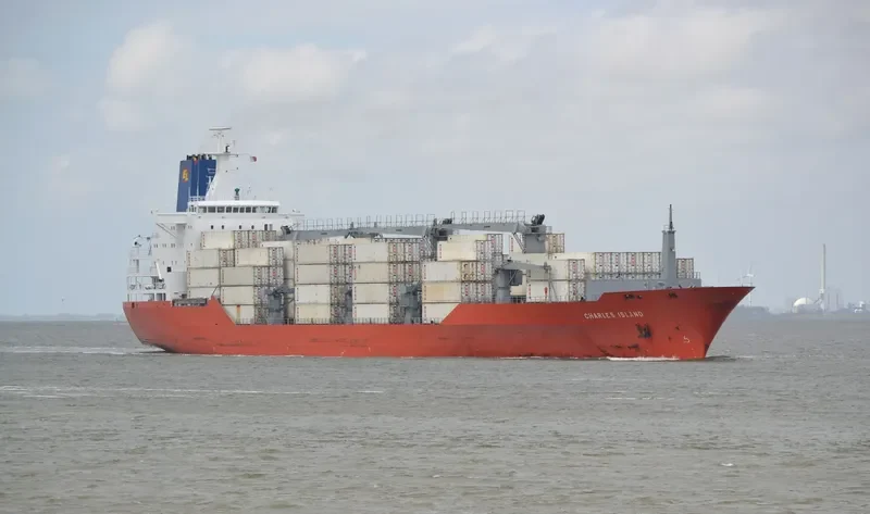 CHARLES ISLAND General Cargo IMO 9059626 photo 7