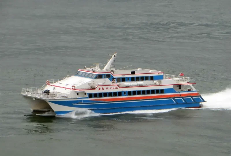 HAI CHANG Passenger Ship IMO 9060132 photo 7