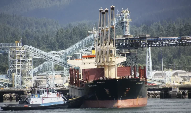 SERENITY 1 Bulk Carrier IMO 9060247 photo 4