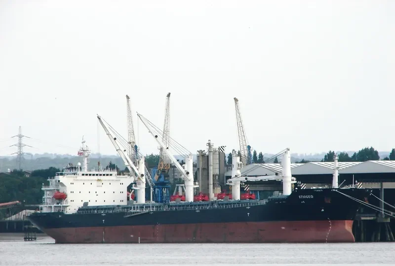 SERENITY 1 Bulk Carrier IMO 9060247 photo 10