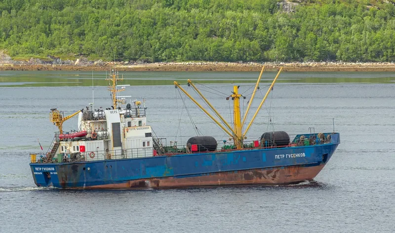 PYOTR GUSENKOV General Cargo IMO 9060819 photo 2