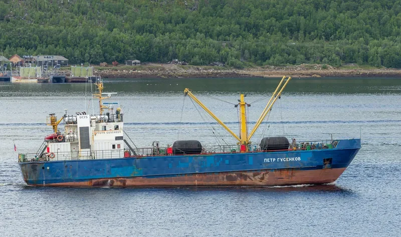 PYOTR GUSENKOV General Cargo IMO 9060819 photo 4