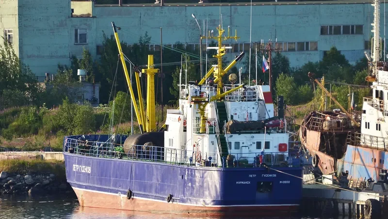 PYOTR GUSENKOV General Cargo IMO 9060819 photo 8