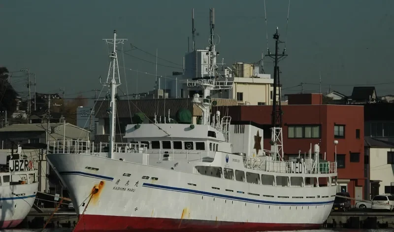 AVA General Cargo IMO 9061100 photo 3
