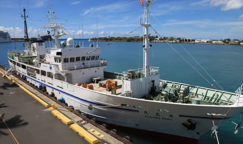 AVA General Cargo IMO 9061100 photo 8