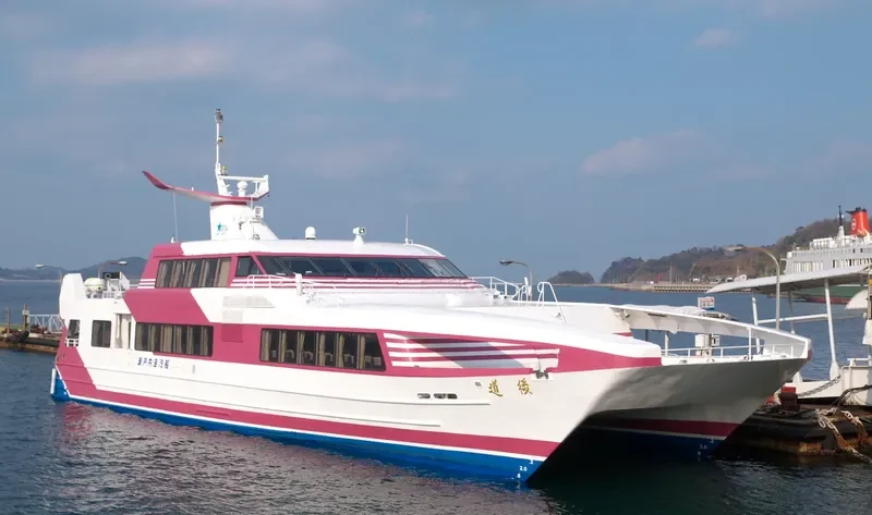 DOGO Passenger Ship IMO 9061502 photo 10