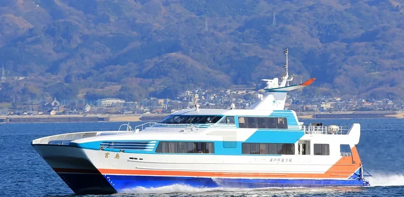MIYAJIMA Passenger Ship IMO 9061538 photo 3