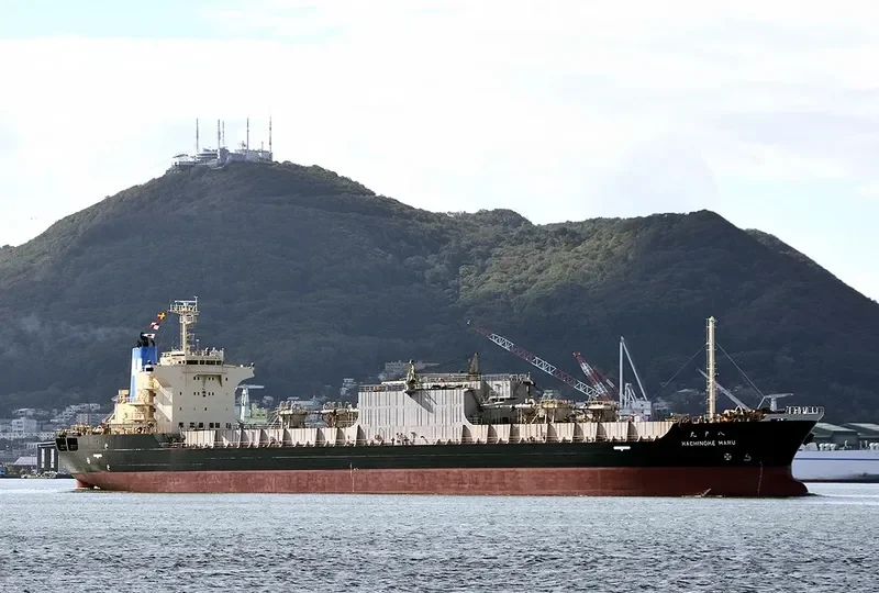 HACHINOHE MARU Bulk Carrier IMO 9061540