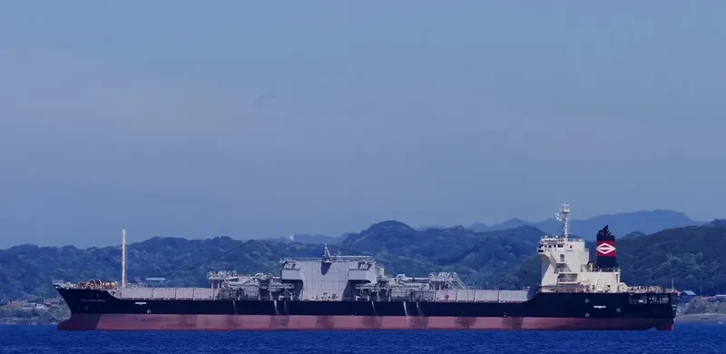 HACHINOHE MARU Bulk Carrier IMO 9061540 photo 6