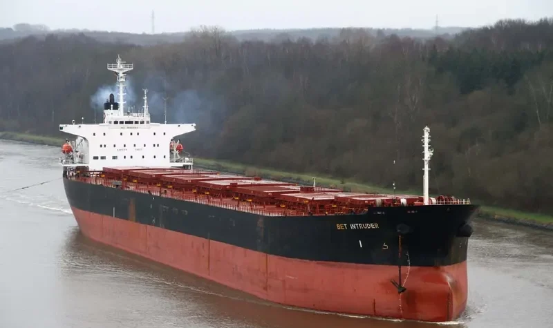WELL DEEP Bulk Carrier IMO 9061564 photo 8