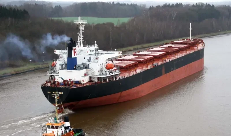 WELL DEEP Bulk Carrier IMO 9061564 photo 9