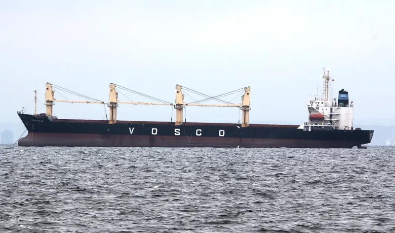VEGA STAR Bulk Carrier IMO 9061588
