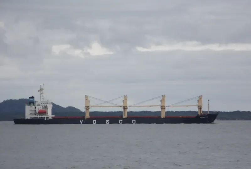 VEGA STAR Bulk Carrier IMO 9061588 photo 6