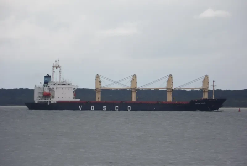 VEGA STAR Bulk Carrier IMO 9061588 photo 7