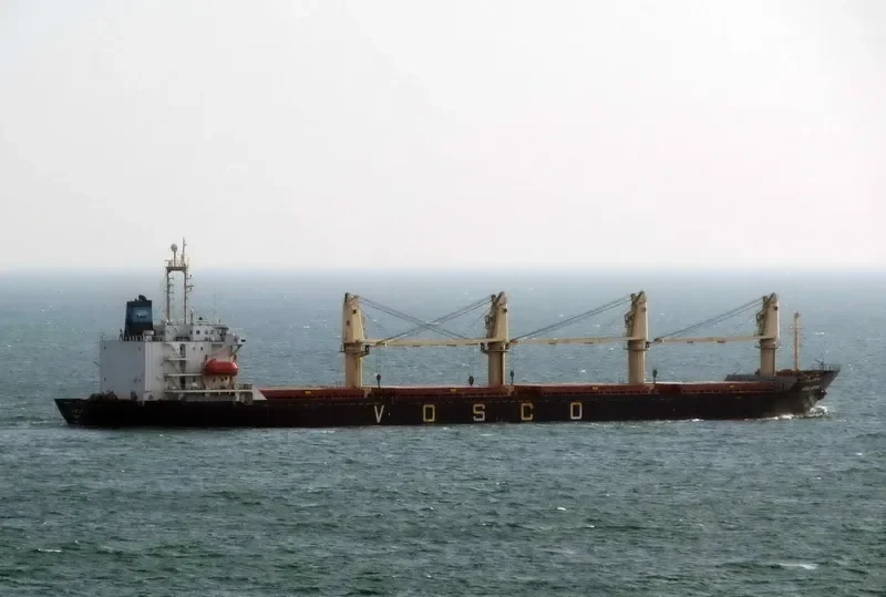 VEGA STAR Bulk Carrier IMO 9061588 photo 9