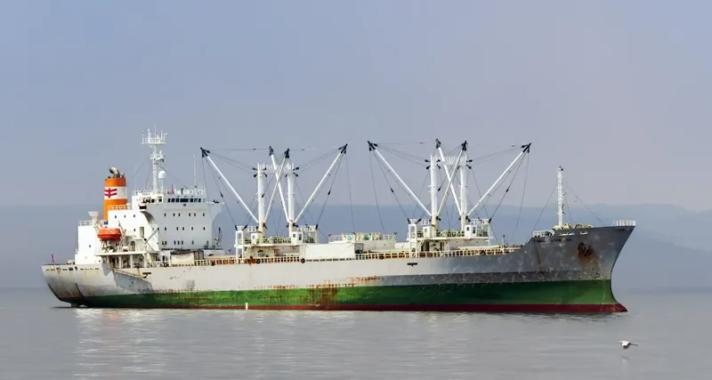 KAMCHATSKIY PROLIV General Cargo IMO 9061899 photo 5