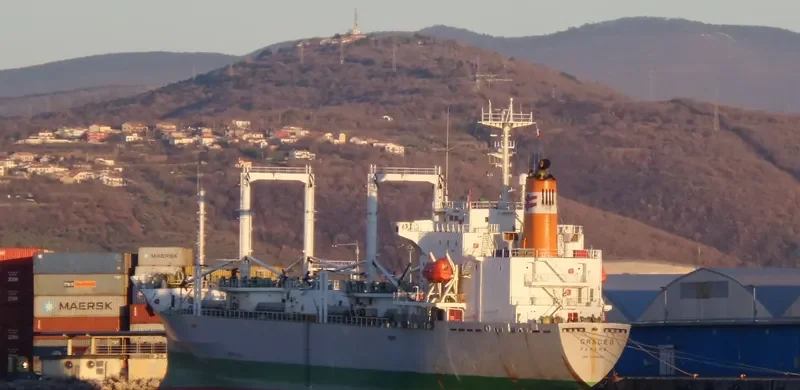 KAMCHATSKIY PROLIV General Cargo IMO 9061899 photo 8