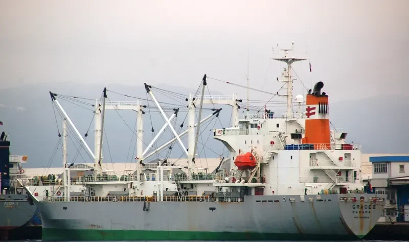 KAMCHATSKIY PROLIV General Cargo IMO 9061899 photo 9