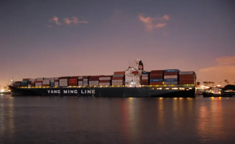 EAST Container Ship IMO 9062087 photo 9