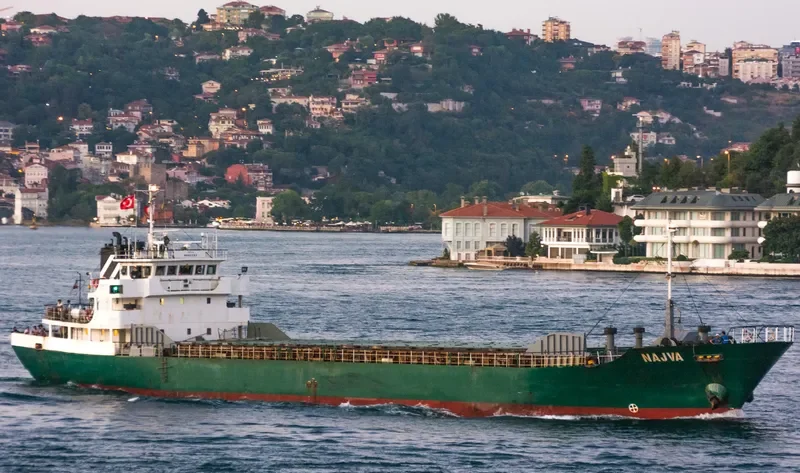SNB HAMBURG General Cargo IMO 9062283 photo 8
