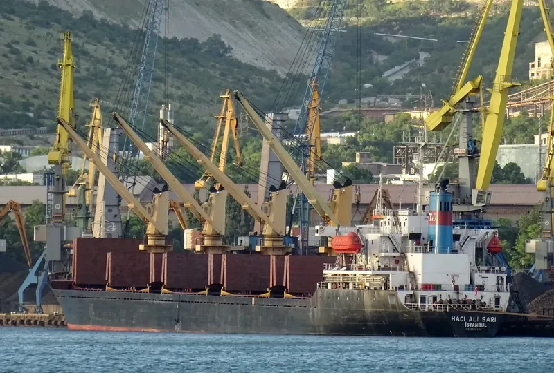 HACI ALI SARI Bulk Carrier IMO 9062295 photo 2
