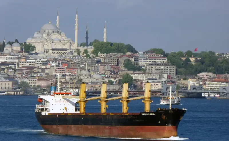 HACI ALI SARI Bulk Carrier IMO 9062295 photo 4