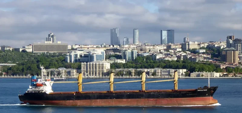 HACI ALI SARI Bulk Carrier IMO 9062295 photo 5