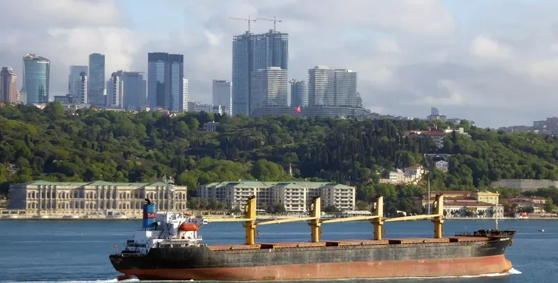 HACI ALI SARI Bulk Carrier IMO 9062295 photo 6
