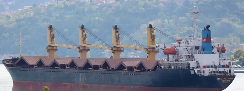 HACI ALI SARI Bulk Carrier IMO 9062295 photo 7
