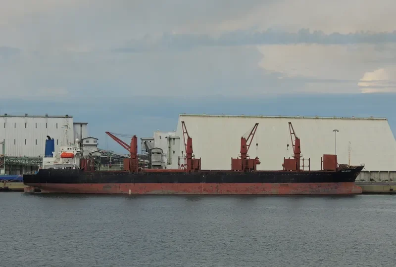 HACI ALI SARI Bulk Carrier IMO 9062295 photo 9