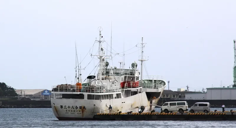GOEI MARU NO.38 General Cargo IMO 9063457 photo 4