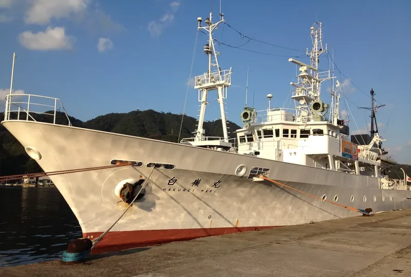 HAKUREI MARU General Cargo IMO 9063598