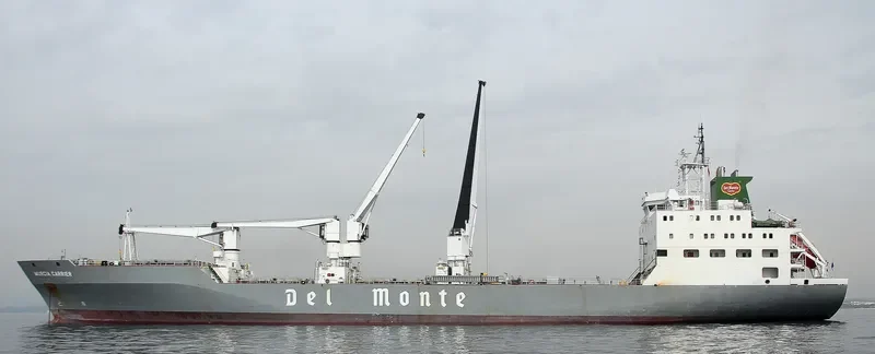 MURCIA CARRIER General Cargo IMO 9063665
