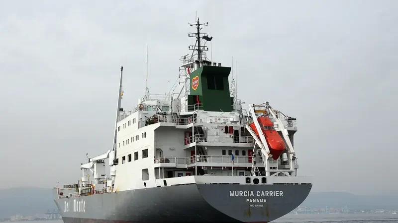 MURCIA CARRIER General Cargo IMO 9063665 photo 2