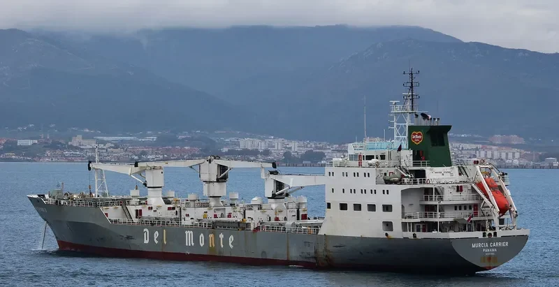 MURCIA CARRIER General Cargo IMO 9063665 photo 5