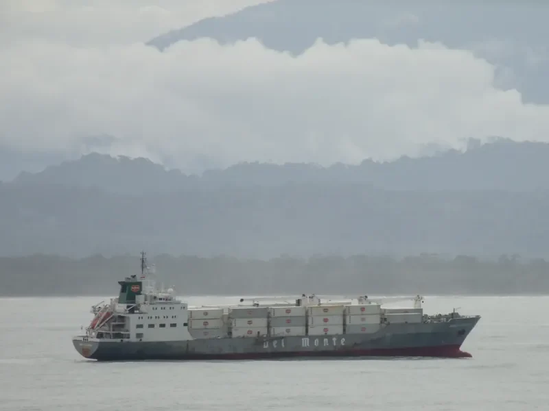 MURCIA CARRIER General Cargo IMO 9063665 photo 8