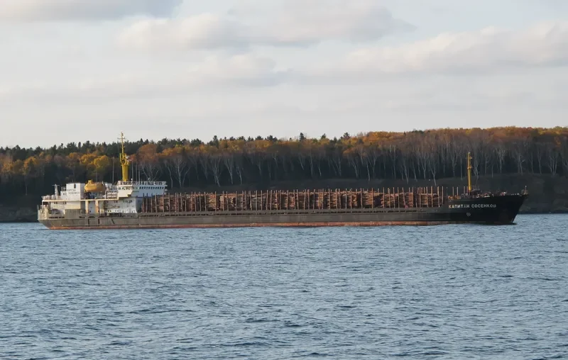 KAPITAN SOSENKOV General Cargo IMO 9063732 photo 4