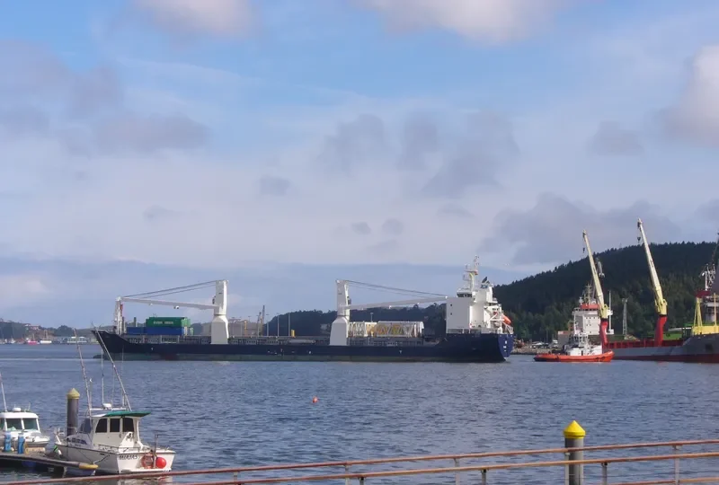RIKE Container Ship IMO 9064035 photo 3