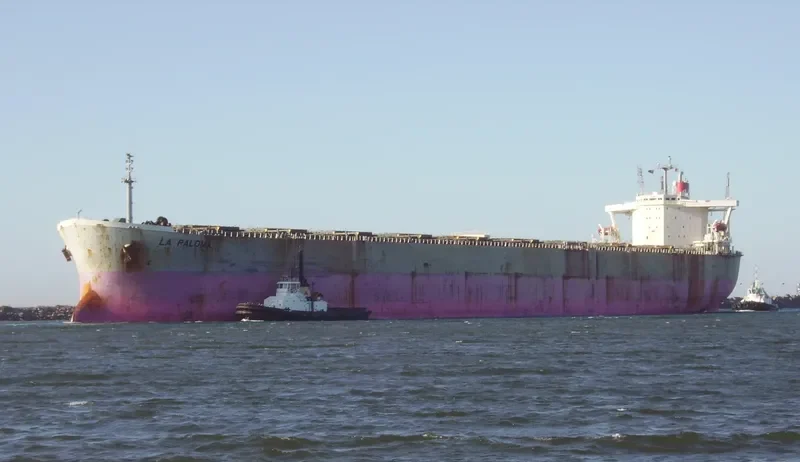 RIKE Container Ship IMO 9064035 photo 5