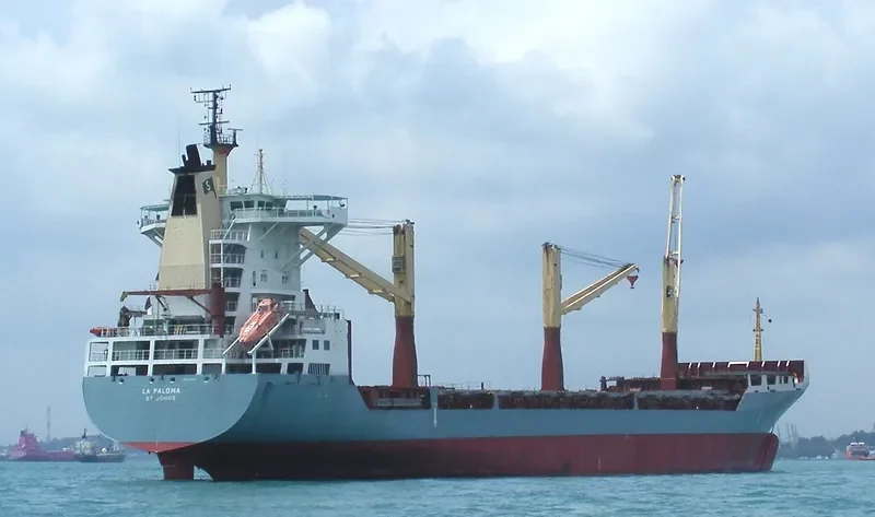 RIKE Container Ship IMO 9064035 photo 6