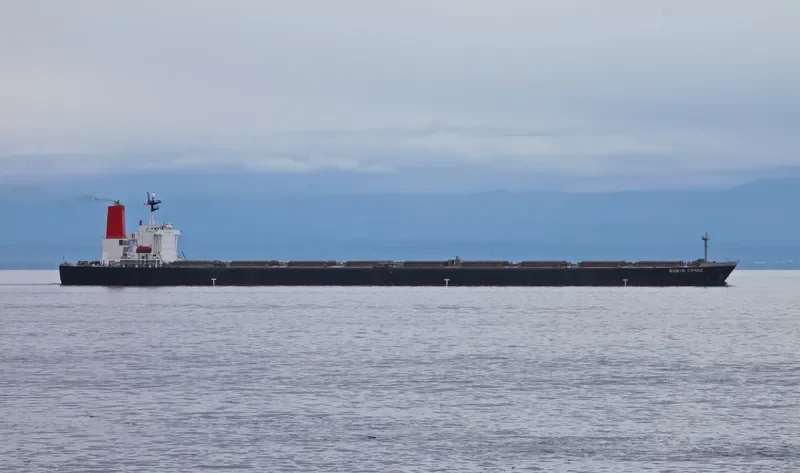 RUBIN Bulk Carrier IMO 9064114