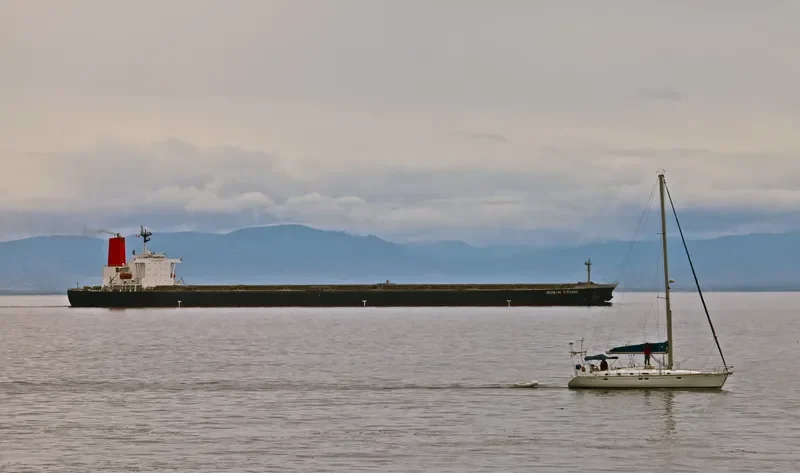 RUBIN Bulk Carrier IMO 9064114 photo 2