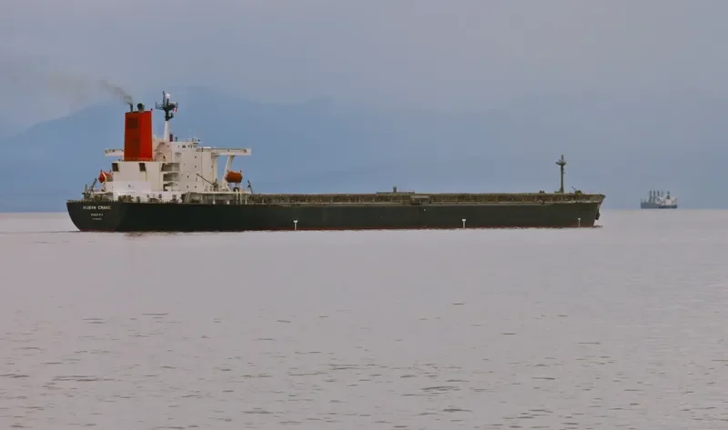 RUBIN Bulk Carrier IMO 9064114 photo 4