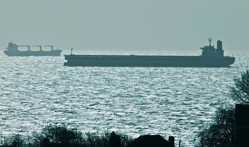 RUBIN Bulk Carrier IMO 9064114 photo 9