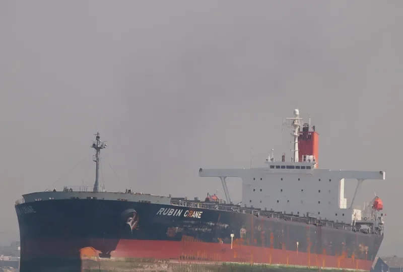 RUBIN Bulk Carrier IMO 9064114 photo 10