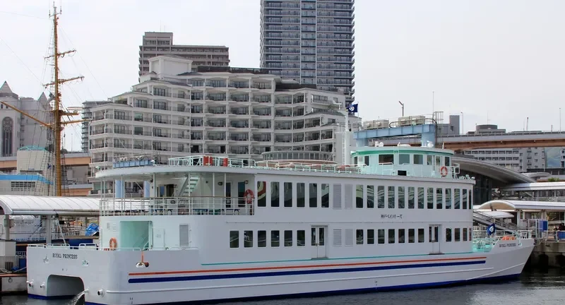 ROYAL PRINCESS Passenger Ship IMO 9064243 photo 4